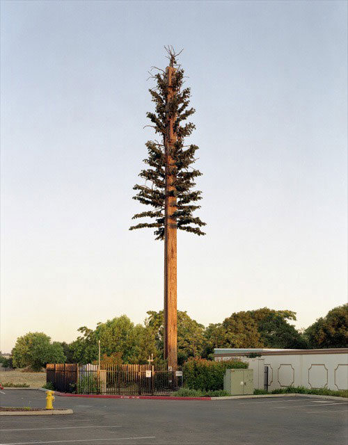 Une antenne relai camouflé dans un faux arbre