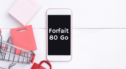 Forfait Free avec 80 Go