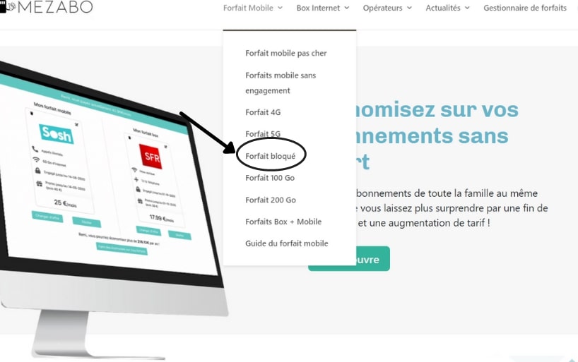 Rubrique "forfait bloqué" sur le site de Mezabo