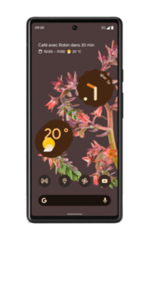 Le smartphone Google Pixel 6