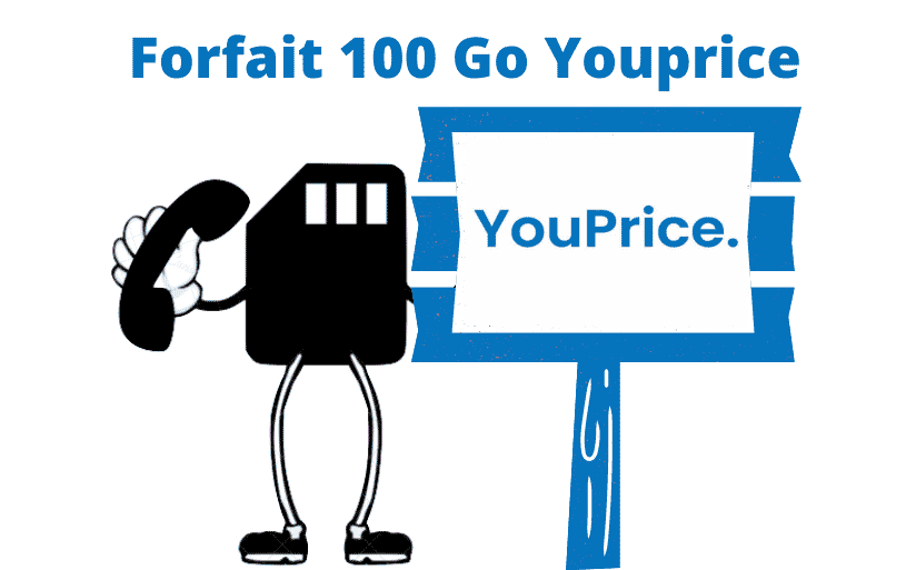 Les forfaits 100 Go Youprice