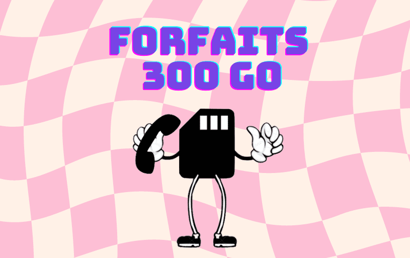 Forfait 300 Go