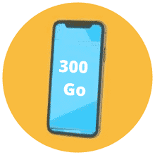 Forfait 300 Go