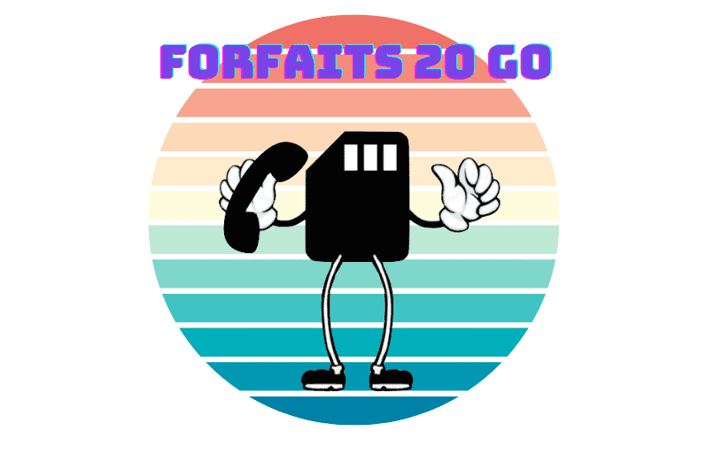 Forfait 20 Go
