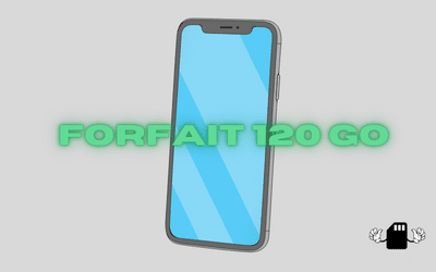 Forfait mobile 120 Go