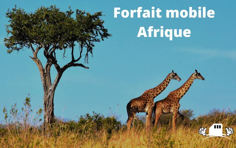 Présentation des forfaits mobile pour l'Afrique