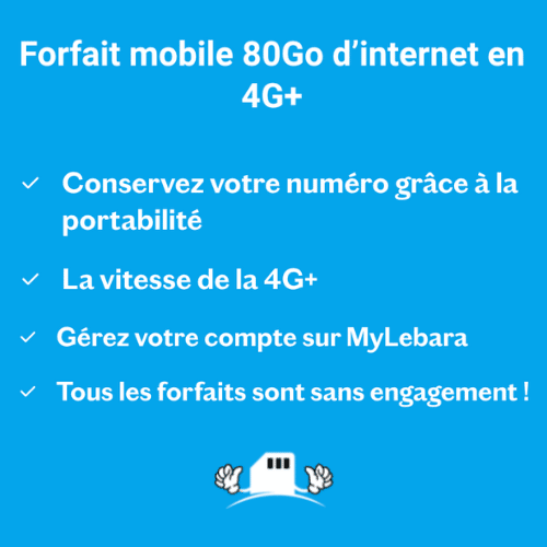 Détail du forfait 80 Go à 9,99 €/mois à vie chez Lebara