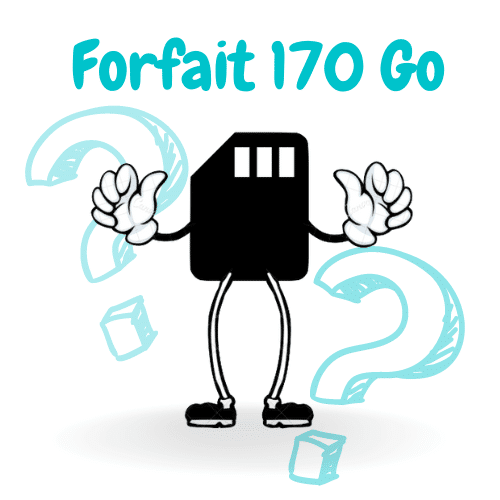 Quelle consommation avec un Forfait 170 Go ?