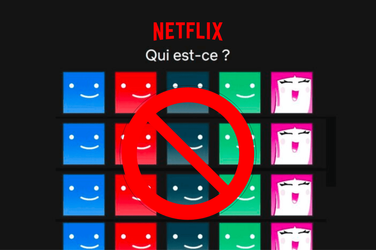 Fin du partage de compte netflix