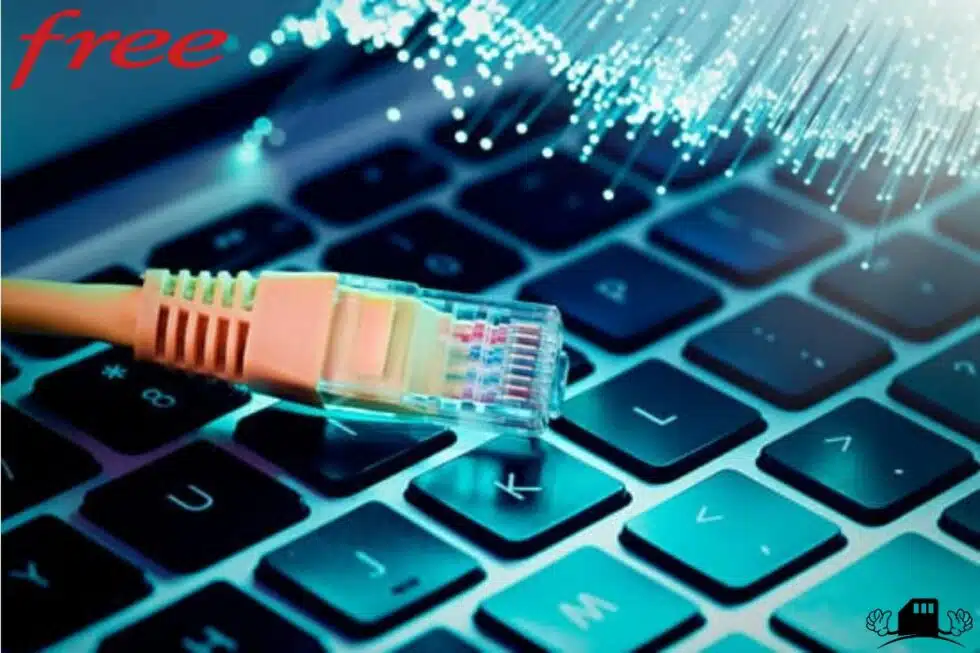 Avis sur la fibre Free ?