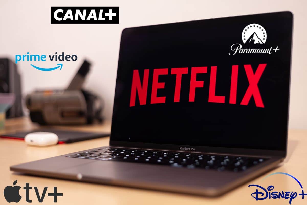 Quels sont les concurrents Netflix ?