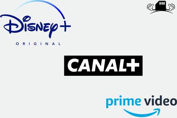 Le détail des principaux concurrents Netflix.
