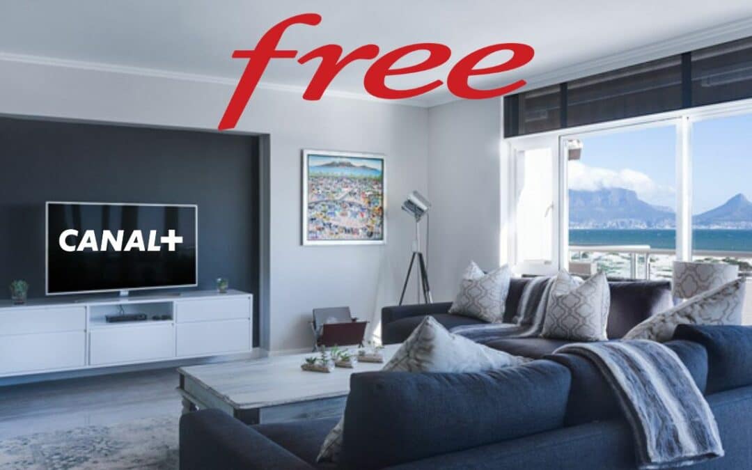 Canal + gratuit pendant 6 mois : le joli cadeau de rentrée de Free